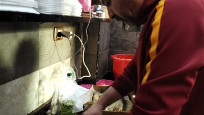 فسيخ ورنجة وبطارخ.. إقبال كثيف على محلات الأسماك المملحة في طنطا