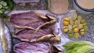 خبيرة اقتصاد: حلول لمواجهة ارتفاع أسعار الأسماك في مصر