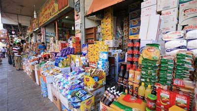 عضو اللجنة الاقتصادية بمجلس الوزراء يكشف عن مصير الأسعار خلال الفترة المقبلة