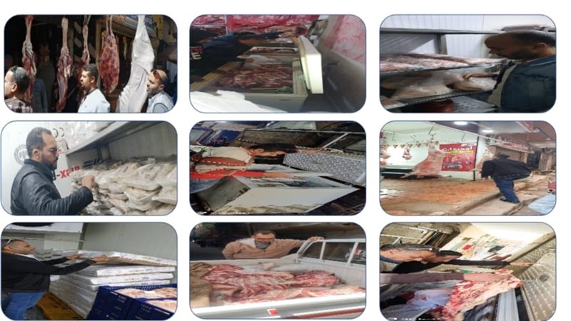 وقف إجازات البيطريين