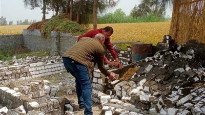 محافظة الدقهلية تواصل تنفيذ الإزالات الفورية لأعمال البناء المخالف بالدقهلية 