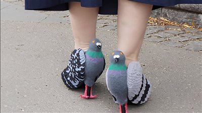 حذاء مجسم الحمامة.. أحدث صيحات الموضة لعام 2025 |صور