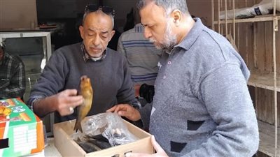 محافظ المنيا يوجه بتكثيف الحملات التموينية لضبط الأسواق طوال أيام عيد الفطر