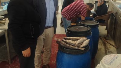 محافظ الإسماعيلية يوجه باستمرار حملات التموين على محلات الفسيخ والرنجة