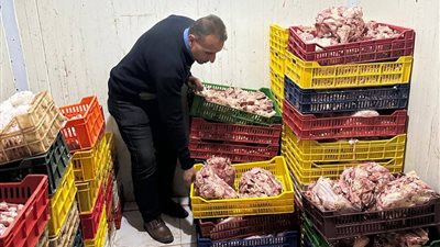 قبل عيد الفطر.. ضبط طن دجاج مخالف للمواصفات في حملة مفاجئة بالدقهلية