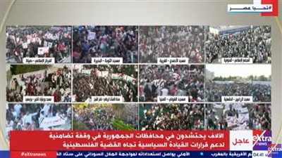 الملايين يحتشدون بمحافظات مصر لرفض التهجير ودعم القيادة السياسية (فيديو)