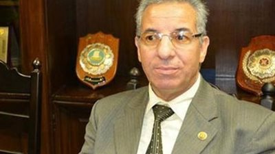 رئيس المجلس العربي للطاقة المستدامة: 5 ملايين مشترك بـ «منصة الكهرباء»  يعكس نجاح الحكومة في التحول الرقمي | خاص