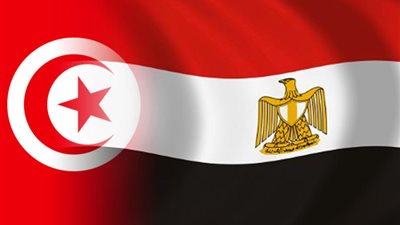 مصر وتونس على طريق الشراكة المتكاملة.. ملفات الشباب والتنمية في الصدارة |فيديو