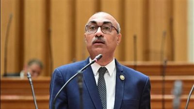 النائب إيهاب منصور لـ«نيوز رووم»: ما يحدث في غزة جريمة.. ويجب أن يتحرك ترامب للتهدئة