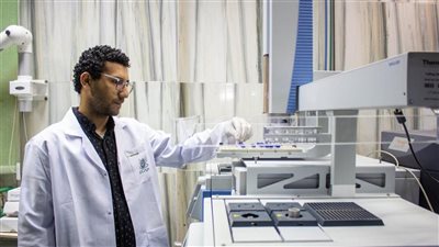 الزراعة تواصل العمل لمتابعة التقاوي والمحاصيل الاستراتيجية وفحص عينات التصدير