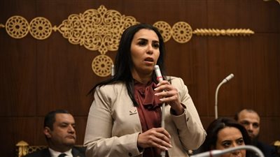النائبة سها سعيد لـ«نيوز رووم»: الأوضاع في غزة محط أنظار القيادة السياسية .. والشعب المصري يرفض التهجير
