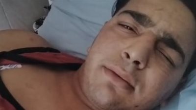 إيقاف السيرك وفحص الحيوانات.. أول قرار من النيابة في واقعة «نمر» طنطا 