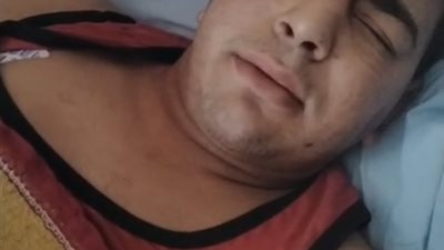 محامي أنوسة كوتة يكذب ضحية سيرك طنطا: تم إطعام النمر وحالته الصحية سليمة