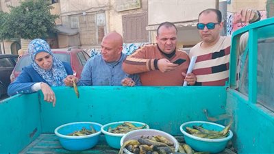 في حملة مكبرة.. ضبط 624 عبوة مواد غذائية مجهولة المصدر بكفرالشيخ 