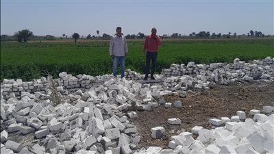 رئيس حماية الأراضي بالزراعة يتفقد جهود حماية الرقعة الزراعية وتنفيذ الإزالات بالغربية