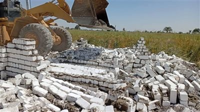 المنيا تواصل حملاتها لإزالة التعديات على الأراضي الزراعية خلال عيد الفطر