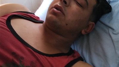 استبعاد النمر المفترس بسيرك طنطا من العروض لمدة خمس سنوات