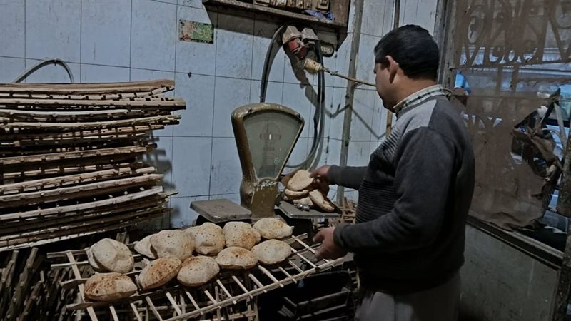 جانب من الحملة