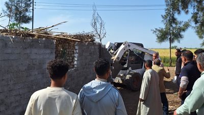 إزالة 3 حالات تعدي على الأراضي الزراعية بقريتي محلة موسى ومتبول بكفر الشيخ