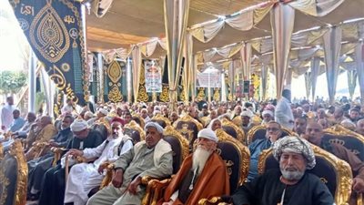 استمرت 30 عاما.. إنهاء خصومة ثأرية  بين قبيتلي البراهمة والصناقرة في البحيرة 