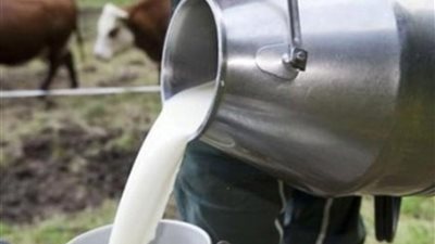  أستاذ بكلية الزراعة يحذر إضافة مادة «الامونيا » السامة فى الألبان السائبة 