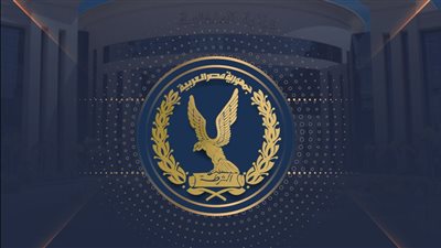 الداخلية: ضبط قضايا اتجار بالعملات الأجنبية بقيمة 12 مليون جنيه خلال 24 ساعة