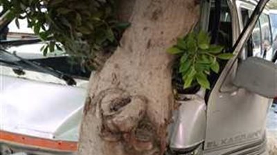 مصرع طفلة وإصابة 6 آخرون في حادث تصادم سيارة بشجرة بالإسماعيلية 