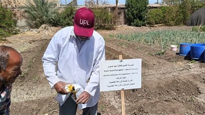 الزراعة: إطلاق أول مبيد عضوي لمكافحة الحشائش في مصر