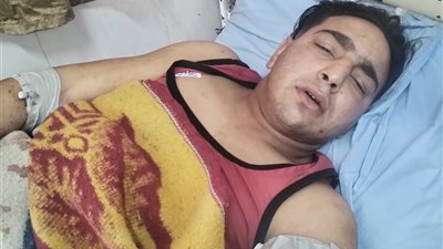 جامعة طنطا تحقق في منع ضحية النمر من التواصل مع الإعلام