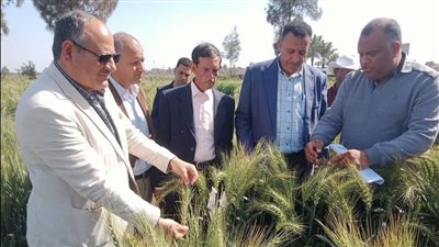 مركز البحوث الزراعية: زيارات ميدانية وإنجازات بحثية متعددة لخدمة القطاع الزراعي