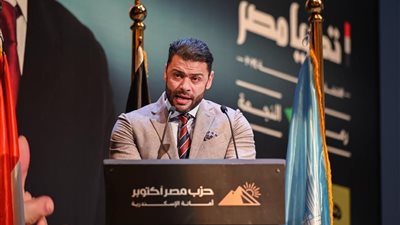 أحمد حلمي: تجاوزات إسرائيل تضرب بعرض الحائط كل المواثيق الدولية