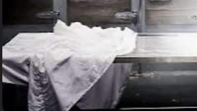 على طريقة المسلسلات.. أخ يقتل أخوه بسبب الميراث بالدقهلية