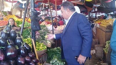 للاطمئنان على نظافة الشارع .. محافظ الدقهلية يتفقد عدد من شوارع المنصورة