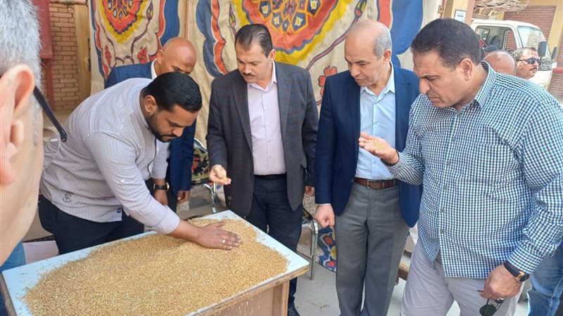 موسم حصاد القمح 