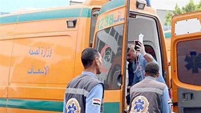  بسبب خلافات زوجية .. ضبط سباك اعتدى على زوجته بسكين في المنوفية