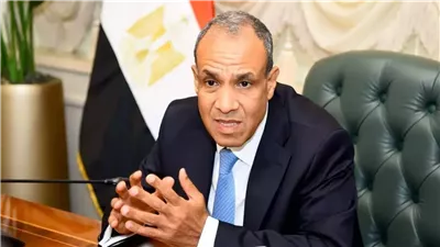 مصر تشدد على أهمية تفكيك الميليشيات المسلحة لاستعادة الأمن والاستقرار في ليبيا