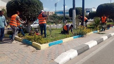 استعدادا لمهرجان الفراولة.. محافظة الإسماعيلية تواصل صيانة المسطحات الخضراء