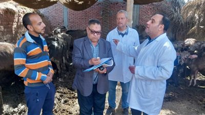 محافظة الدقهلية تواصل فعاليات الحملة القومية لتحصين المواشى ضد الحمى القلاعية