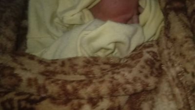 جهود مكثفة لكشف غموض العثور على طفلة حديثة الولادة في العياط