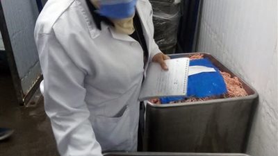 قبل بيعها للمواطنين.. ضبط 2 طن أسماك ولحوم غير صالحة للاستهلاك الآدمي بالشرقية