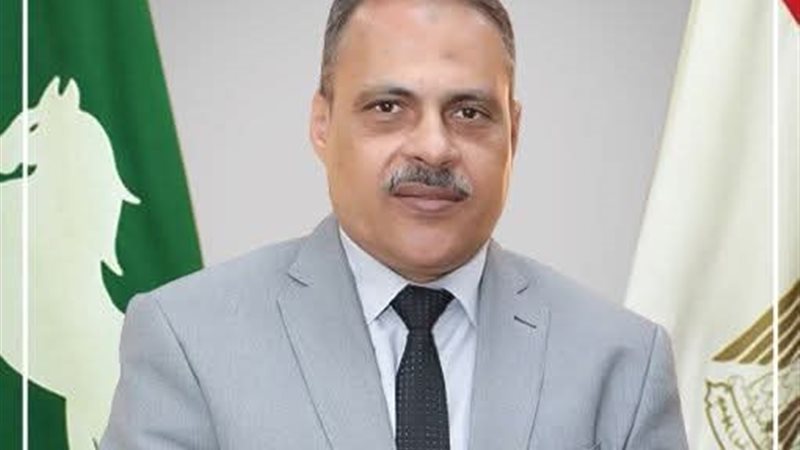 محافظ الشرقية