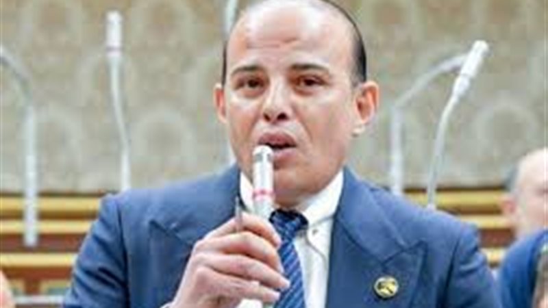 النائب عمرو القطامي