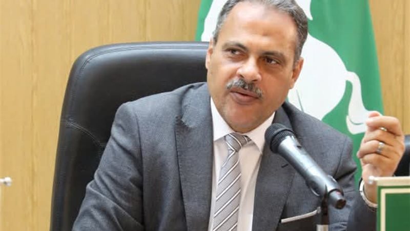 محافظ الشرقية