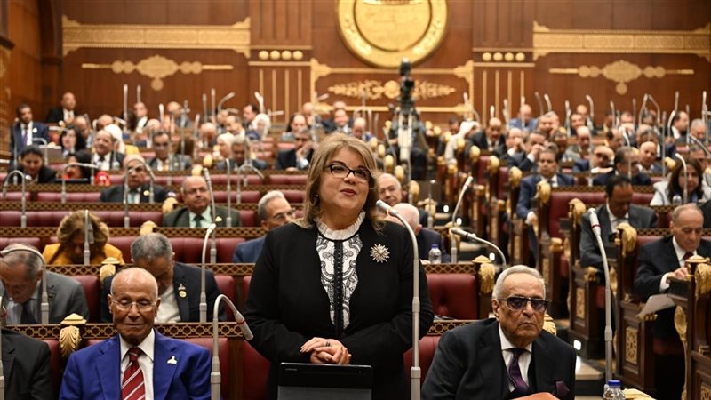 النائبة فيبي فوزي