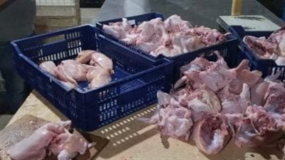 ضبط 294 كجم لحوم ودواجن وأسماك غير صالحة للاستهلاك بالغربية