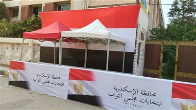 الأرقام الأولية.. القائمة الوطنية تحصد 107 آلاف صوت بالدائرة الـ 3 بالإسكندرية