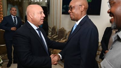 مصر وجنوب أفريقيا.. شراكة صناعية ولوجستية تصنع مستقبل التجارة بالقارة