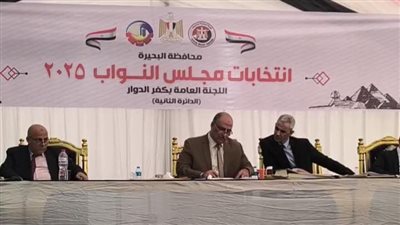 بعد الحصر العددي للأصوات.. الإعادة في 7 دوائر انتخابية وحسم دائرتين بالبحيرة