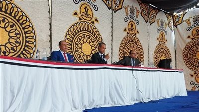 الحصر العددي في انتخابات مجلس النواب 2025 بالمنيا              