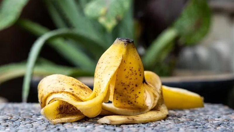 صورة موضوعية